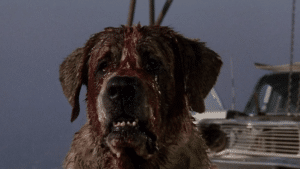 Stephen King’s Cujo Is Getting a Modern Remake at Netflix